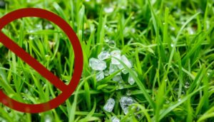 Trawnik podczas deszczu z granulkami nawozu spływającymi z wodą